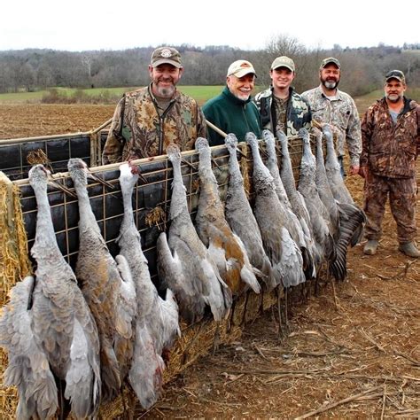 One day guided Sandhill crane hunt for 2 hunters in Southeast Tennessee ...