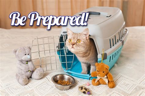 Pet Preparedness for Disasters by Jo Becker – Feline Behavior Solutions ...