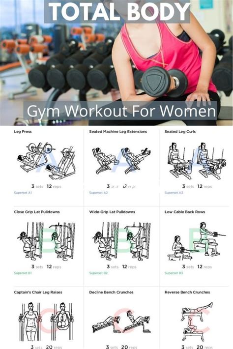 Total Body Gym Workouts For Women | Best gym workout, Beginners gym ...