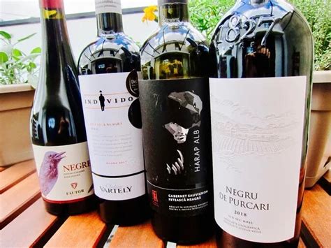 Taste Moldovan Wines – New Grape Discoveries – Wine of Moldova USA