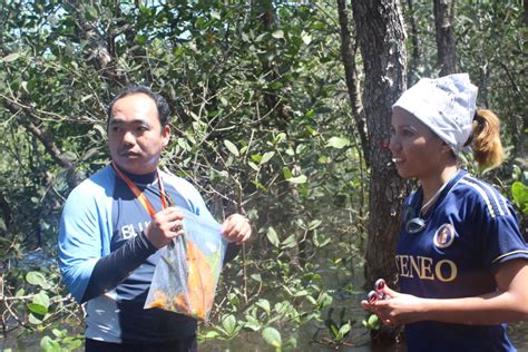 Subic Bay – Mangrove Ecology