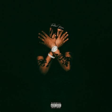 Summrs - FALLEN RAVEN Lyrics and Tracklist | Genius