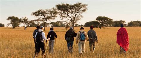 TANZANIA SAFARI GUIDE - Welcome to Visit Tanzania 4Less Official Website