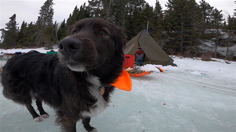 Fishing Found Lake Trout - Boundary Waters Catalog Blog