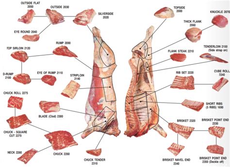 Beef Meat Primal Cuts Diagram - Ask John The Butcher