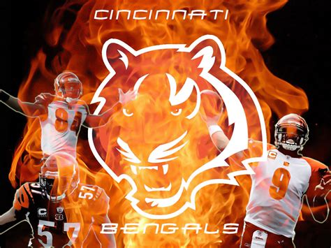 HD Cincinnati Bengals Wallpapers Free Download