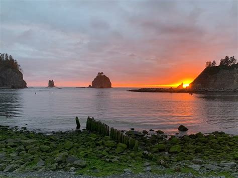 Quileute Indian Reservation (Forks) - 2021 What to Know Before You Go ...