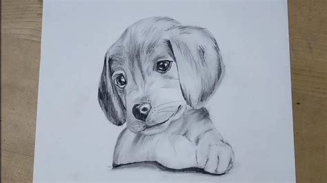 Pencil Drawings Of Dogs