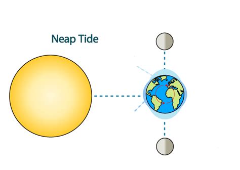 Neap Tides Diagram | Quizlet