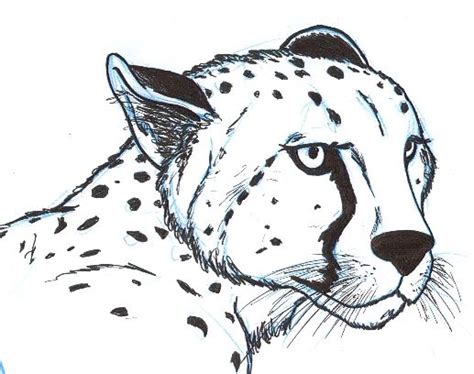 Cheetah Head by BentheBeard on deviantART | letterboxing | Pinterest ...