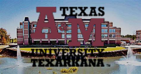 Texas A&M University-Texarkana MSN program achieves continuing ...