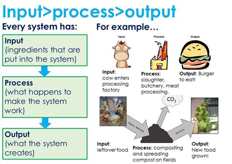 Input Process Output Examples - RalphkruwHo