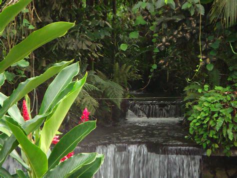 Tabacon Hot Springs | Waterfalls | Costa Rica ~photo by DarleenHollis ...