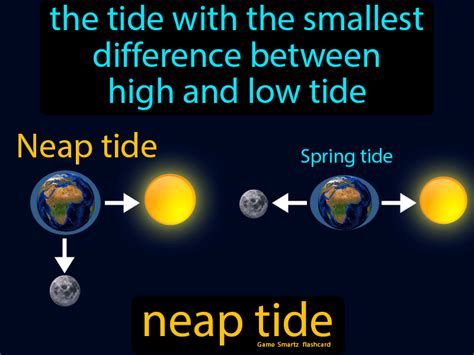 Explain Difference Between Spring Tides and Neap Tides - Jadon-has-Mclean