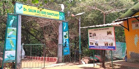 Dr. Salim Ali Bird Sanctuary Goa, India (Entry Fee, Timings, List, Best ...