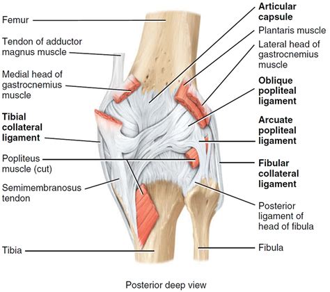 Knee Pain - Causes, Exercises, Remedies, Medication & Treatment