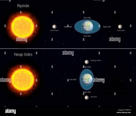 Neap Tide Diagram