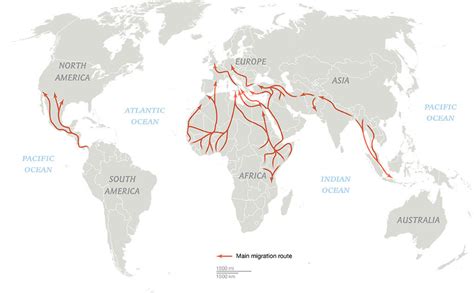 A world on the move: why we need new rules for migration | World ...