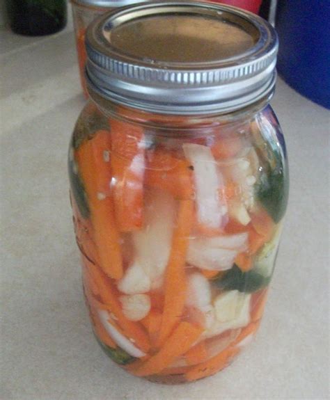 Spicy Pickled Carrots - Homespun Oasis