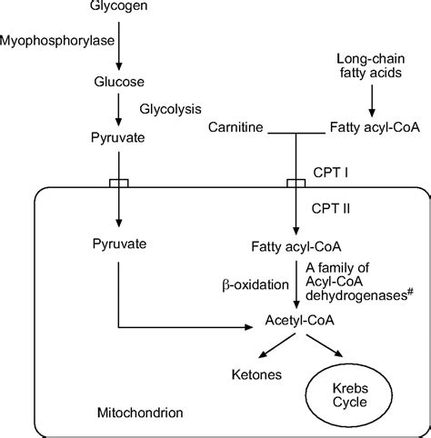 Very long-chain acyl-CoA dehydrogenase deficiency presenting as acute ...