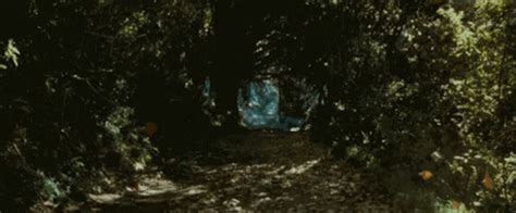 Lord Of The Rings Dolly Zoom GIF - Lord Of The Rings Dolly Zoom ...