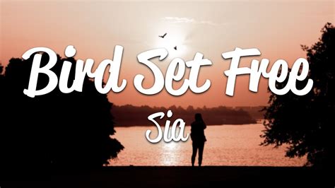 Sia - Bird Set Free (Lyrics) - YouTube