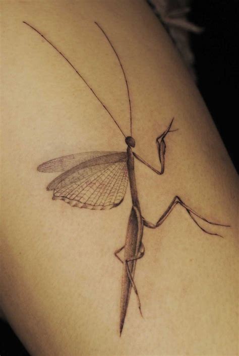 Praying mantis tattoo by Renata de Aguilera- El Sitio, Ciudad de México ...