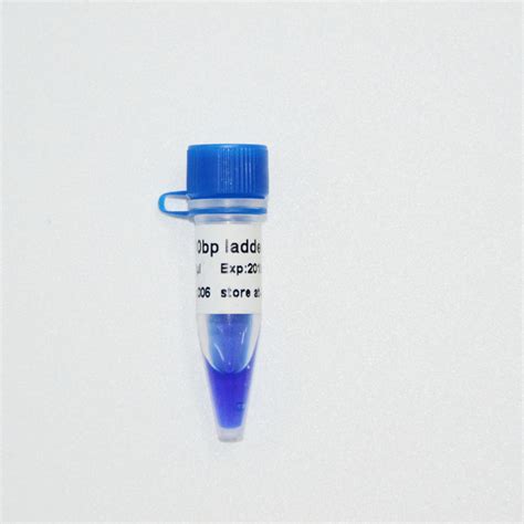 10bp DNA Ladder Gel Electrophoresis High Purity Reagents