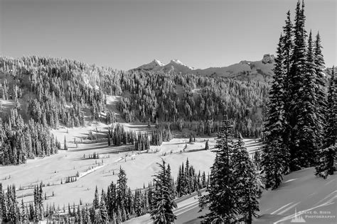 Winter, Lower Paradise Valley, Mount Rainier, Washington, 2017 | Steve ...