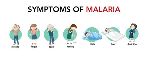 Prevention of Malaria in India: Symptoms, Treatments & More