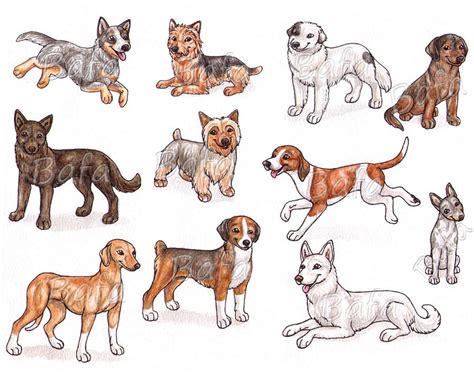 A - Dog Breeds -page 3- by Bafa on DeviantArt