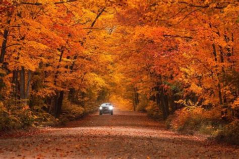 11 Michigan Towns With Stunning Fall Foliage