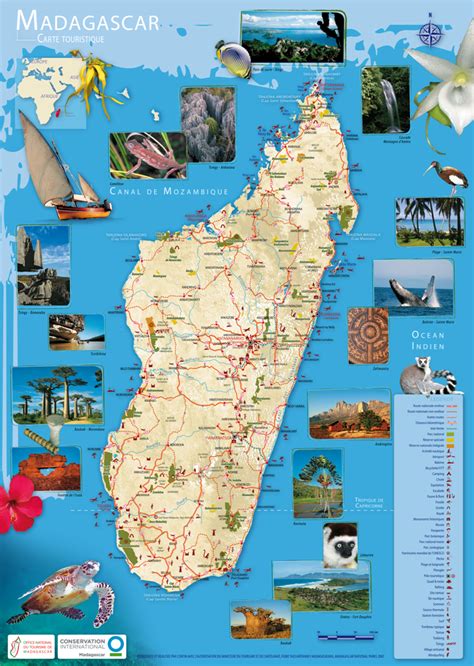 Complete guide to madagascar all you need to know – Artofit