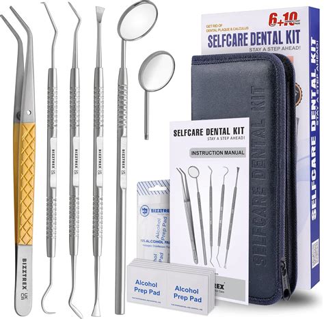 BIZZTREX® Plaque Remover for Teeth, Teeth Plaque Remover, 6 Pcs Dentist ...