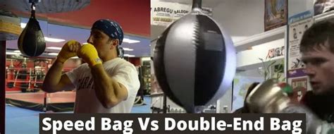 Speed Bag vs Double End Bag: Important Aspects for Comparison!