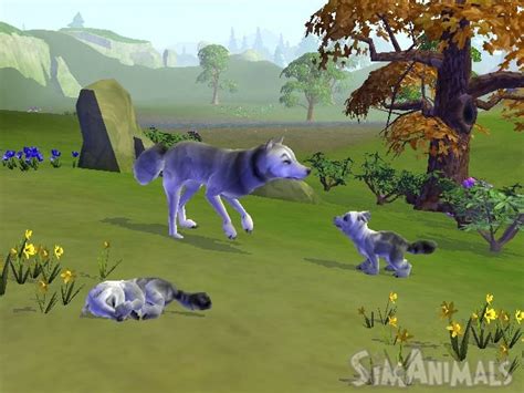 SimAnimals (Wii) Game Profile | News, Reviews, Videos & Screenshots