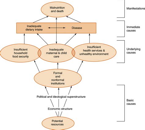 1: Causes of Malnutrition | Download Scientific Diagram