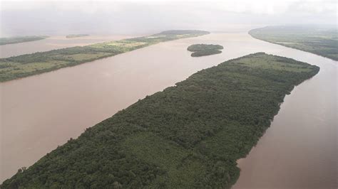 Hidden gem of the Essequibo – Guyana Times International – The Beacon ...