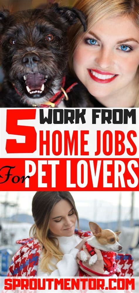 5 Of The Best Work From Home Jobs For Pet Lovers - SproutMentor ...