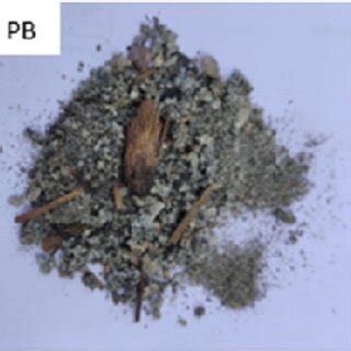 SEM images of bottom ash samples: EB01, EB02, and EB03 Ethimale bottom ...