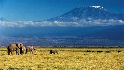 Discover Kilimanjaro | Highest Mountain in Africa | andBeyond