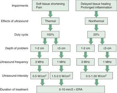 Ultrasound | Physical therapy, Physical therapy school, Ultrasound