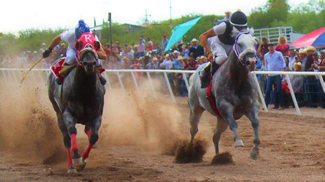 Total 33+ imagen el caballo de carrera - Thptnganamst.edu.vn