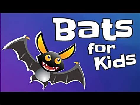 Books About Bats For Kids | Kids Matttroy