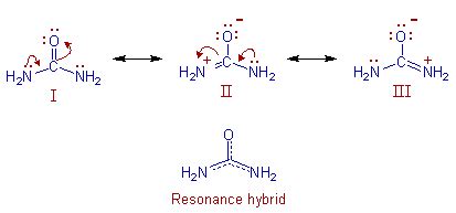 Urea Lewis Structure