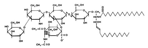 Ganglioside - Alchetron, The Free Social Encyclopedia