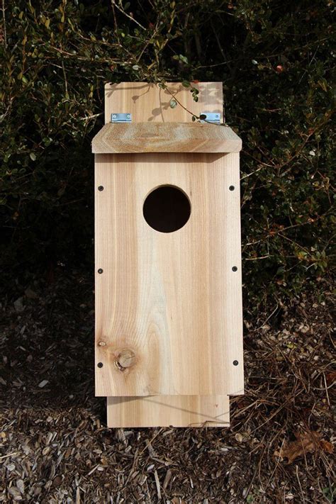 Screech Owl Box Placement | Haus Design Ideen