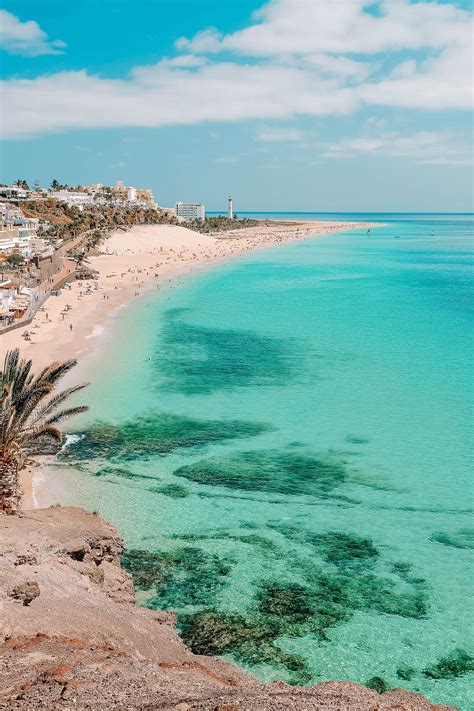 a beach with clear blue water and palm trees