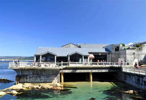 Monterey Bay Aquarium | Ellison Bronze - Custom Crafted Balanced Doors