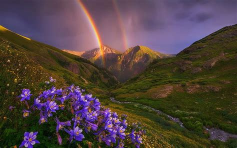 After the rain, hills, mountain, wildflowers, rain, rainbow, sunset ...